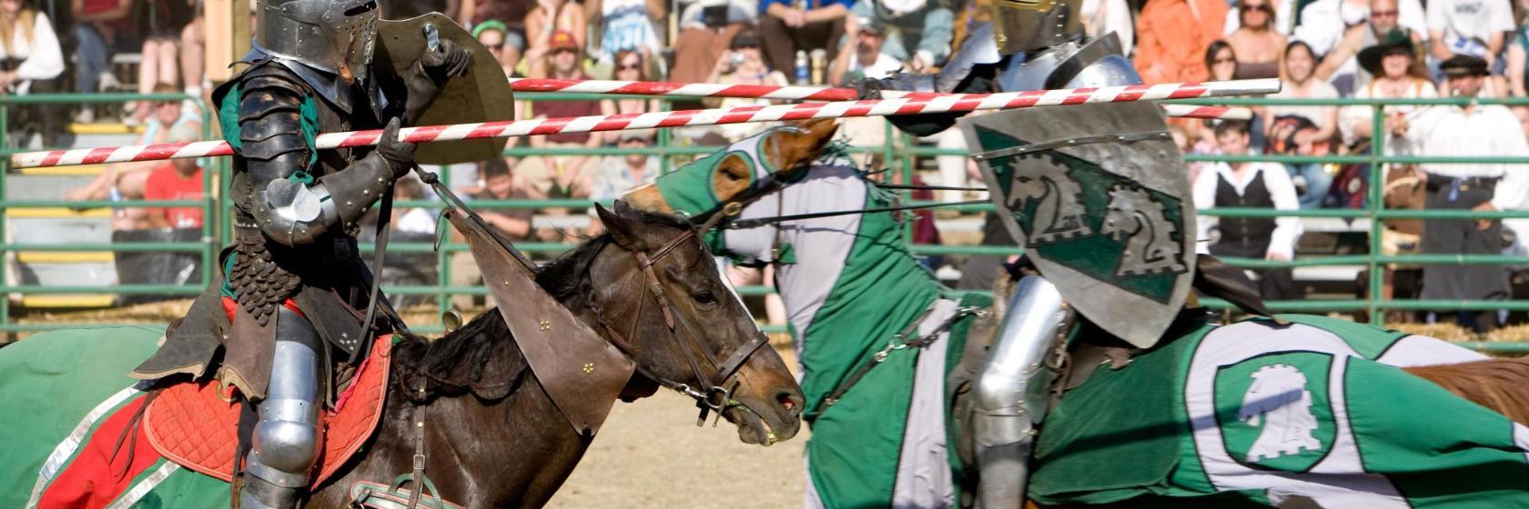 Medieval Times Dinner & Tournament